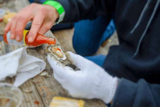 Hatteras Island Oyster Roast Event